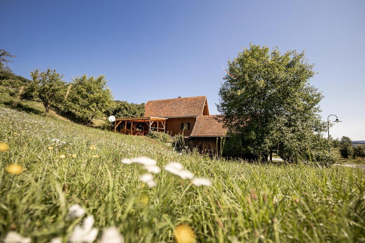 Weingarten & Appartement Auszeit With Private Spa Soechau Exterior photo